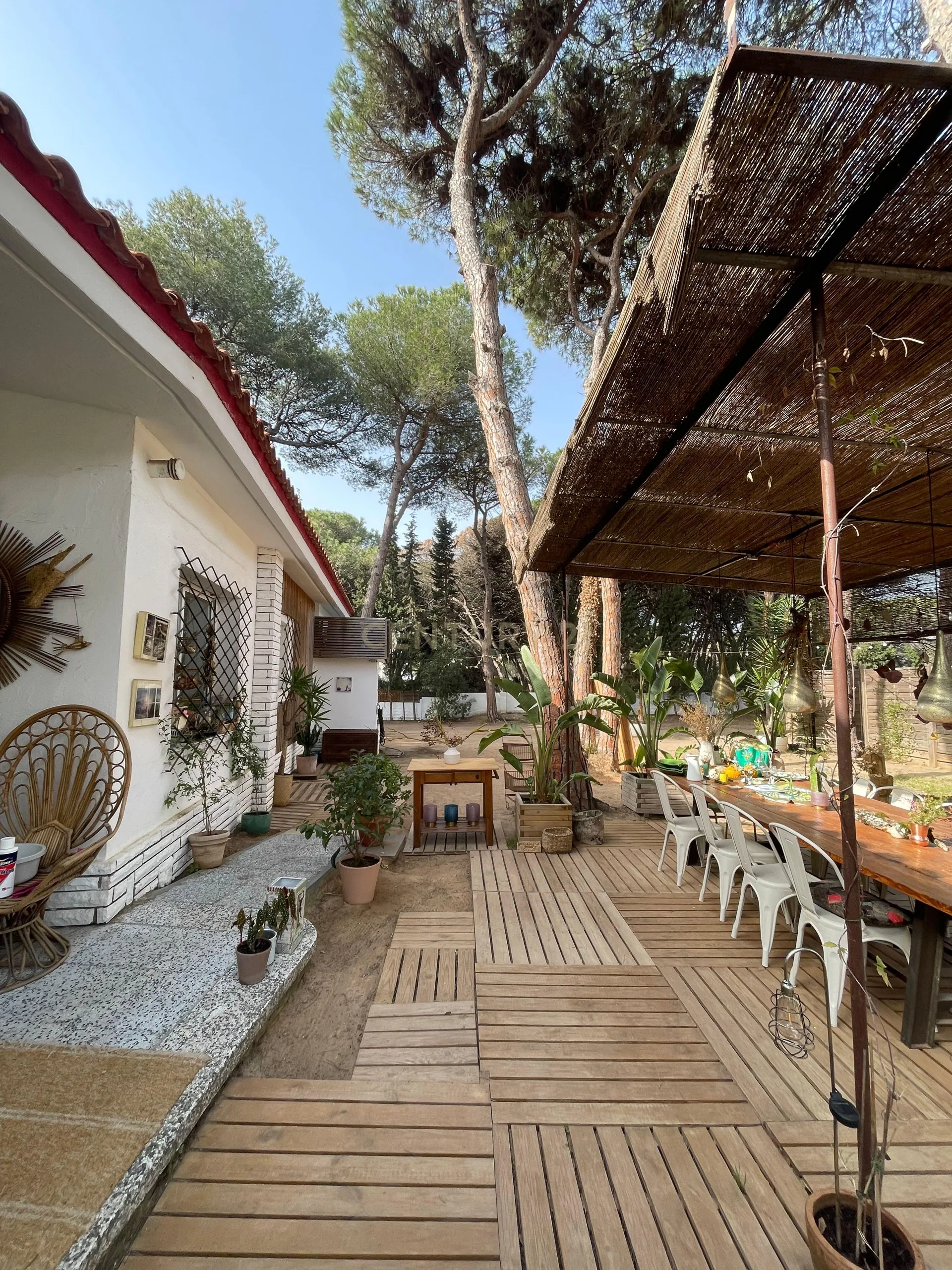 Pineda 38: Un Oasis de Privacidad y Rendimiento en la Costa de Barcelona